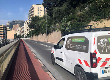 Elagueur abattage 98000 Monaco