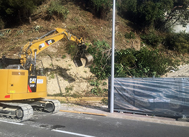 Abattage arbre 98000 Monaco