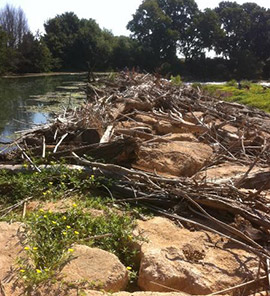 Désembaclement lit de l'Argens 83