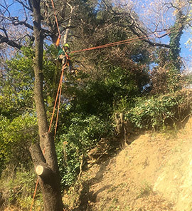 Sécurisation talus 06130 Grasse