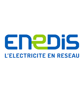 Travaux élagage et abattage pour Erdf Enedis